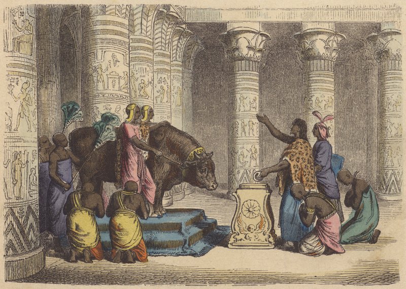Dyrkan av Apis Bull i det antika Egypten (färgad gravyr) av German School
