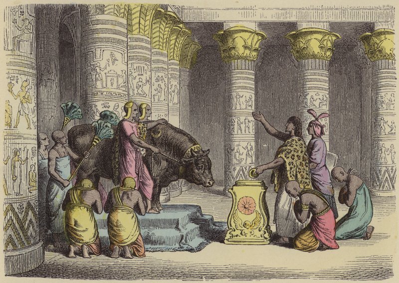 Dyrkan av Apistjuren i det antika Egypten (färgad gravyr) av German School