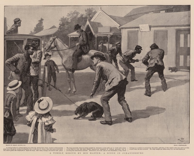 En räddning i rätt tid av sin mästare, en scen i Johannesburg av Gordon Frederick Browne