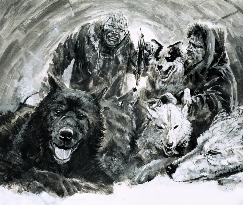 Vilhjalmar Stefansson upptäckte blonda eskimåer (gouache på papper) av Graham Coton