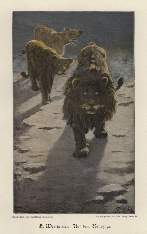 On the Raid (färgad gravyr) av Gustav Wertheimer