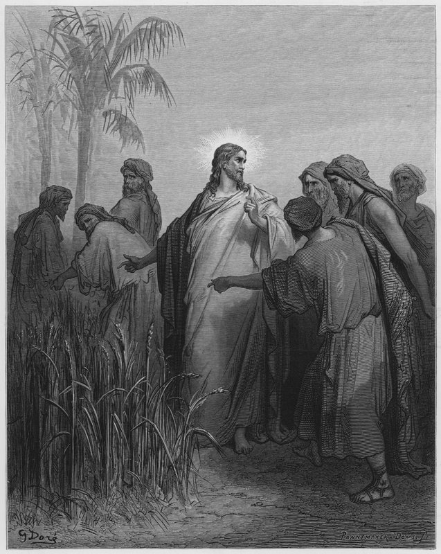 Gustave Dore Bibeln: Jesus och hans lärjungar på sädesfältet av Gustave Dore