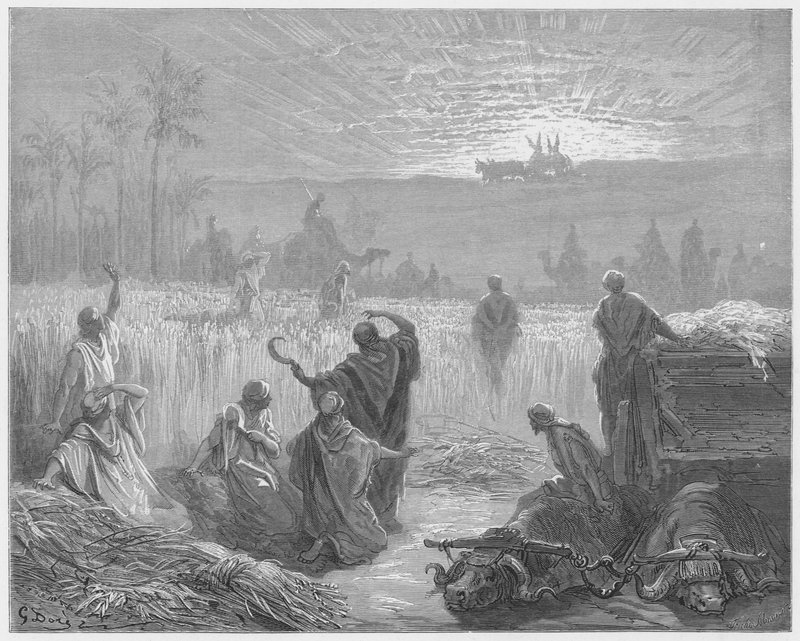 Gustave Dore Bibeln: Arkens återkomst till Bet-Shemesh av Gustave Dore