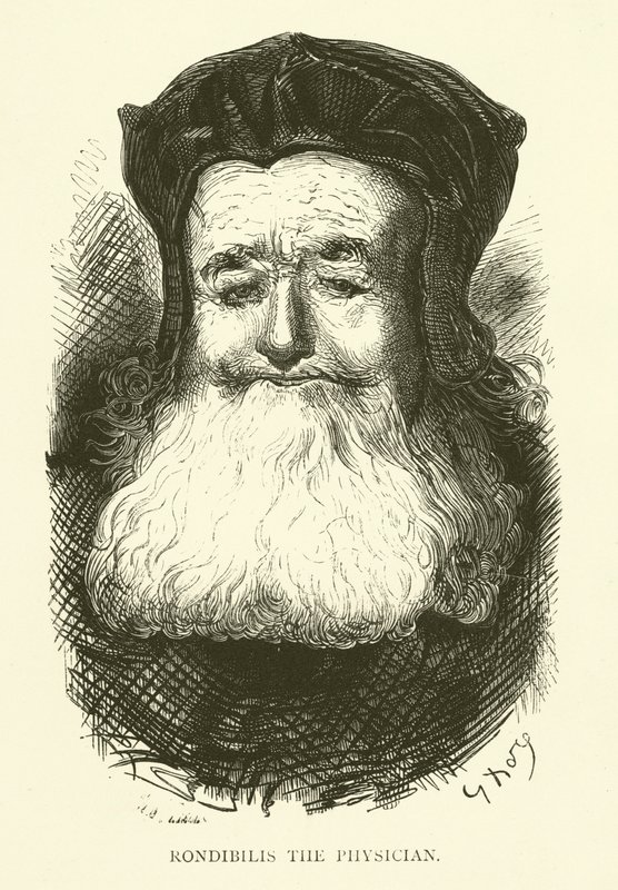 Illustrationer till Rabelais verk av Gustave after Dore