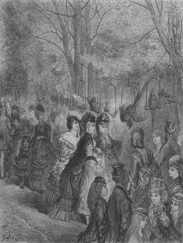 Zoologisk trädgård, fåglarna av Gustave after Dore