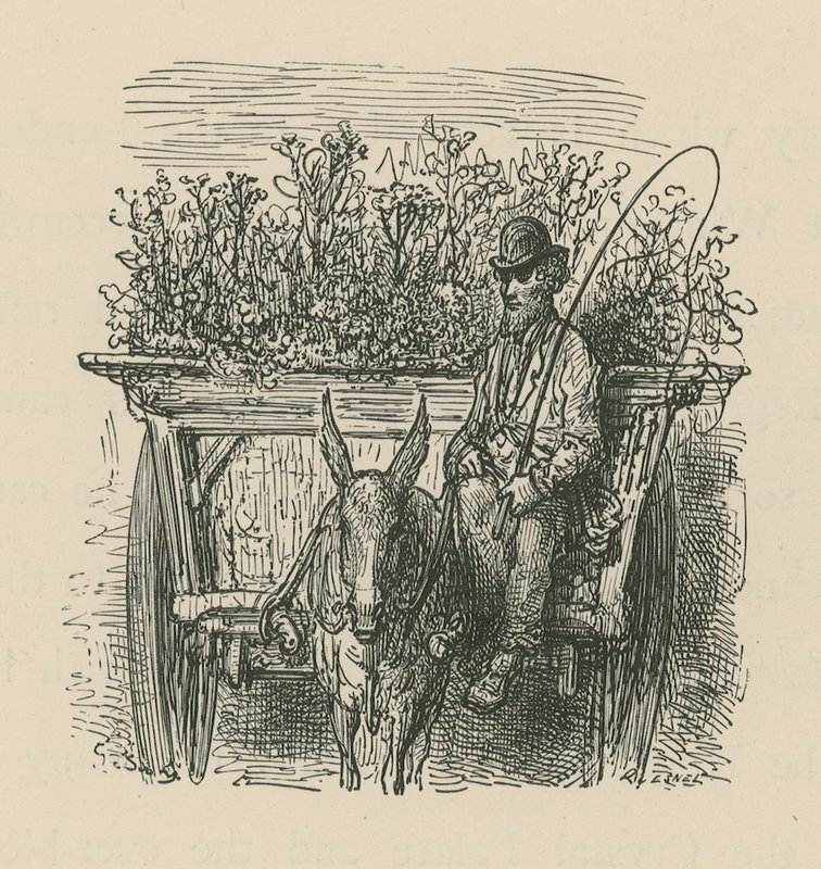 En man som kör en vagn lastad med växter och blommor av Gustave Dore