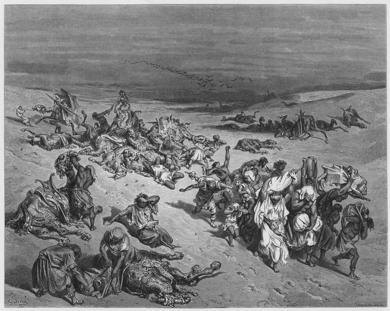 Gustave Dore Bible: The Murrain of Beasts av Gustave Dore