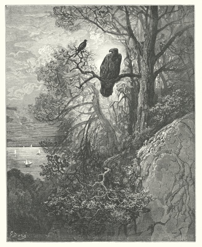 La Fontaines fabler: Örnen och skatan (gravyr) av Gustave Dore