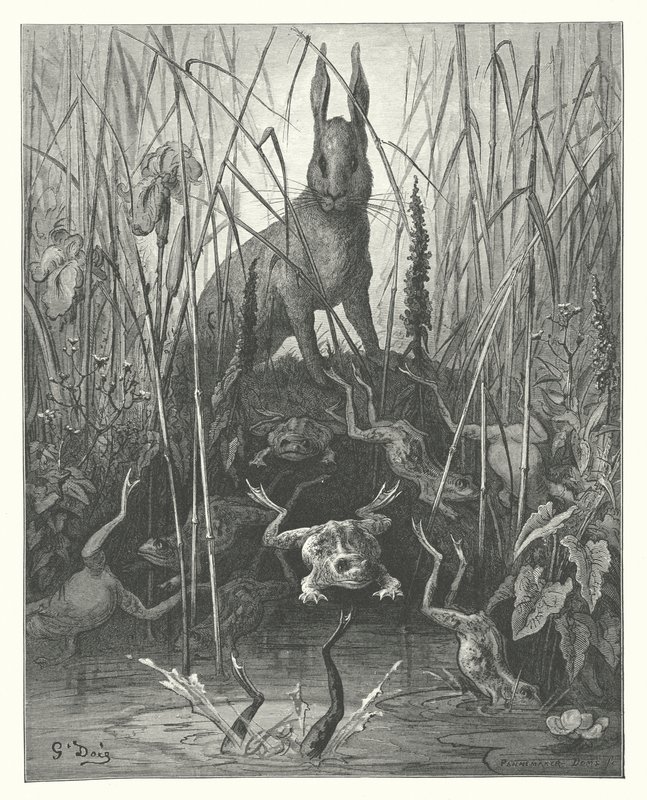 La Fontaines fabler: Haren och grodorna (gravyr) av Gustave Dore