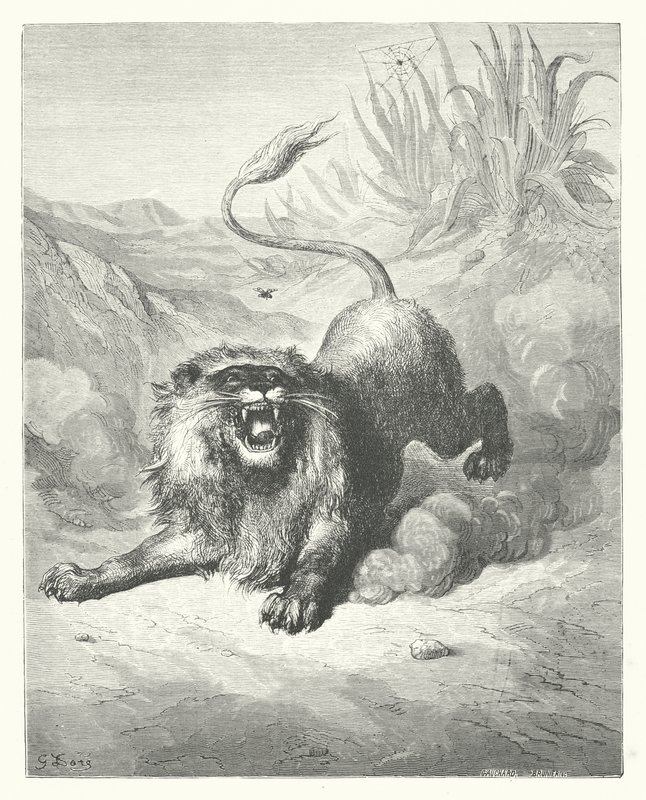 La Fontaines fabler: Lejonet och myggan (gravyr) av Gustave Dore