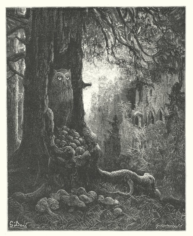 La Fontaines fabler: Ugglan och mössen (gravyr) av Gustave Dore