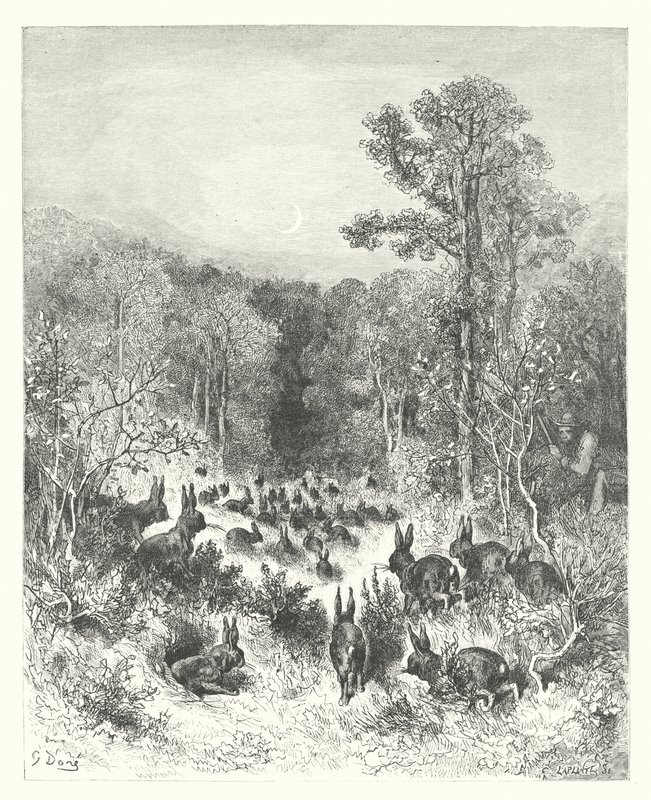 La Fontaines fabler: Kaninerna (gravyr) av Gustave Dore