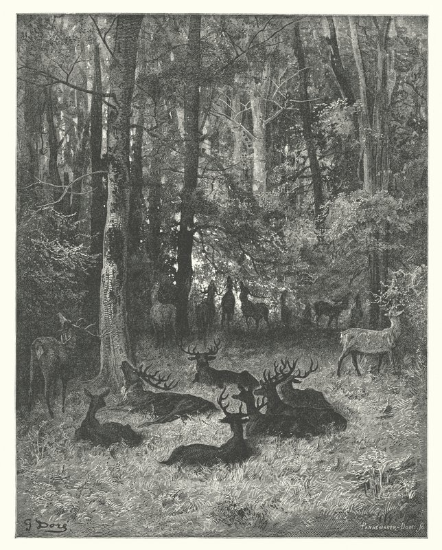 La Fontaines fabler: Den sjuka hjorten (gravyr) av Gustave Dore
