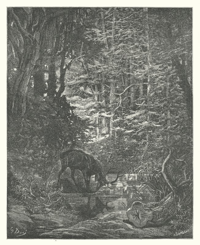 La Fontaines fabler: Hjorten som ser sig själv i strömmen (gravyr) av Gustave Dore