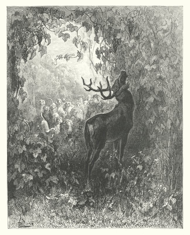 La Fontaines fabler: Hjorten och vinrankan (gravyr) av Gustave Dore