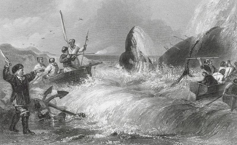 Valen på stranden (gravyr) av H. Melville