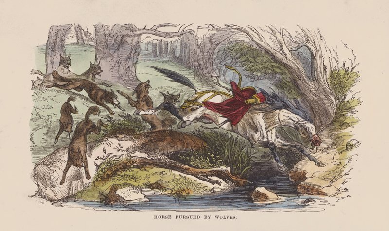 Häst förföljd av vargar (färgad gravyr) av after Hablot Knight Browne
