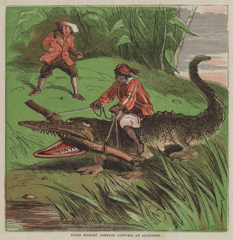 Peter Wilkins kamrat fångar en alligator (färg litho) av after Hablot Knight Browne