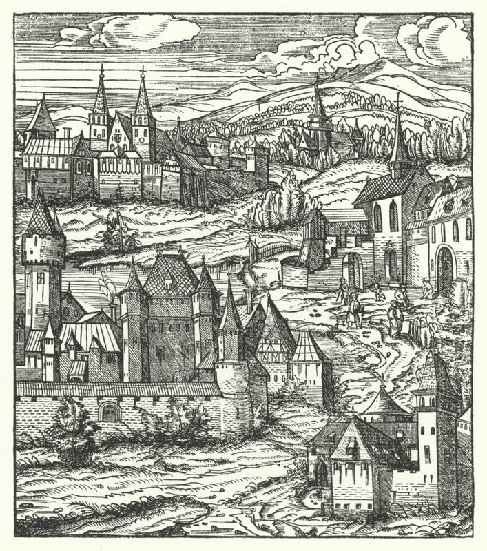 Wiener Neustadt, Österrike, födelseplatsen för Maximilian I, den helige romerske kejsaren (gravyr) av Hans (after) Burgkmair