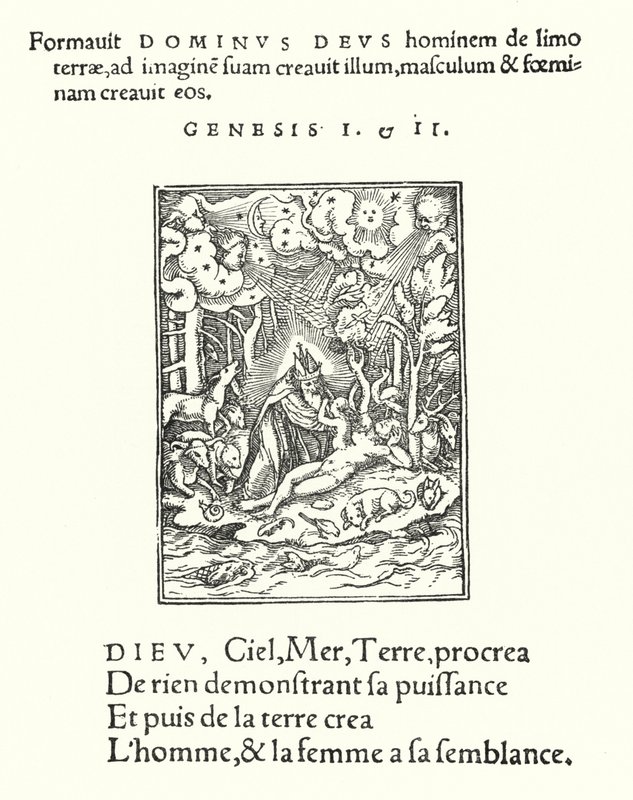 Skapandet (gravyr) av Hans (after) Holbein the Younger