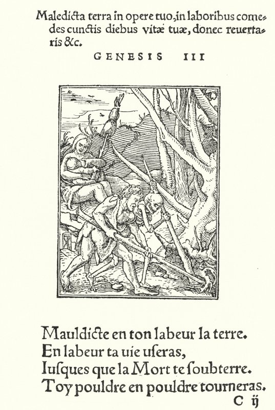 Förbannelsen över jorden och över människan (gravyr) av Hans (after) Holbein the Younger