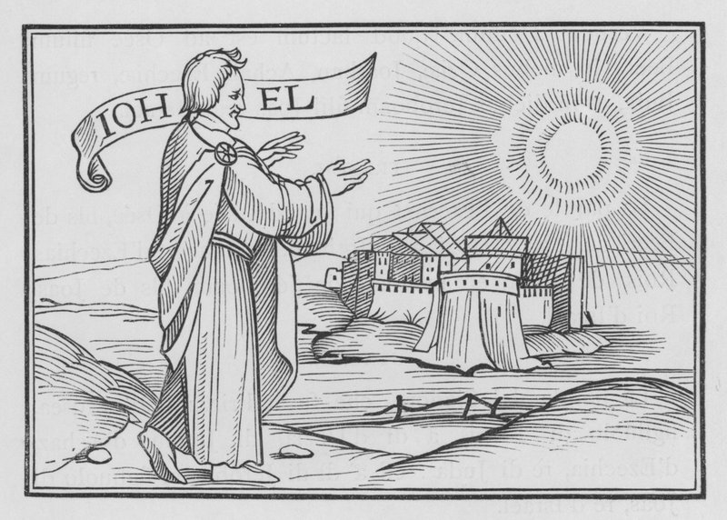 Joel förutsäger Jerusalems förstörelse, Joel I, 14 av Hans after Holbein the Younger