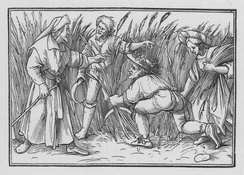 Ruth Gleaneth på Boas fält, Ruth II, 5 av Hans after Holbein the Younger