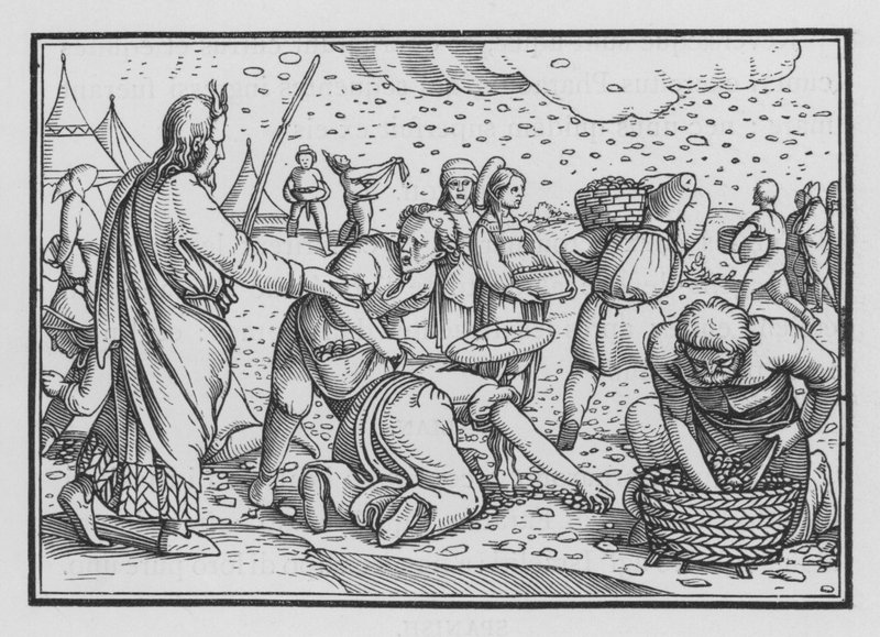Israeliterna mumlar för brist på bröd, Exodus XVI, 4 av Hans after Holbein the Younger