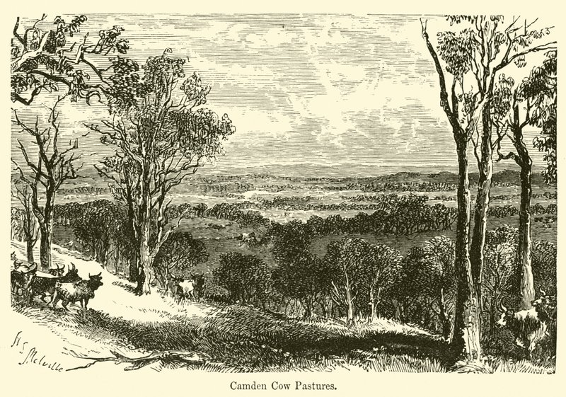 Camden Cow Pastures (betesmarker för kor) av Harden Sidney Melville