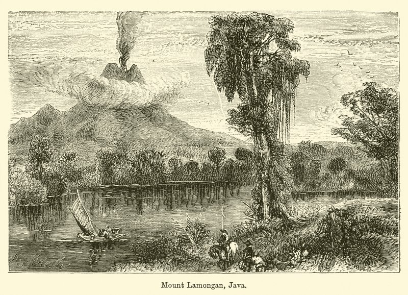Lamonganberget, Java av Harden Sidney Melville