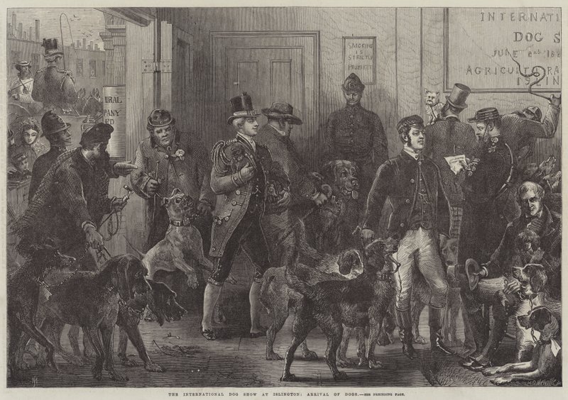 Den internationella hundutställningen i Islington, Ankomst av hundar av Harden Sidney Melville