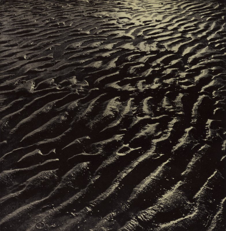 den räfflade havssanden, Coleridge (s/v foto) av Harold Burdekin