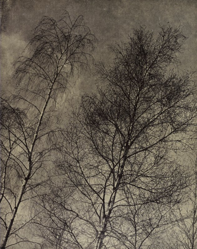 deras charm är skriven längs en flytande himmel, Robert Bridges (s/v foto) av Harold Burdekin