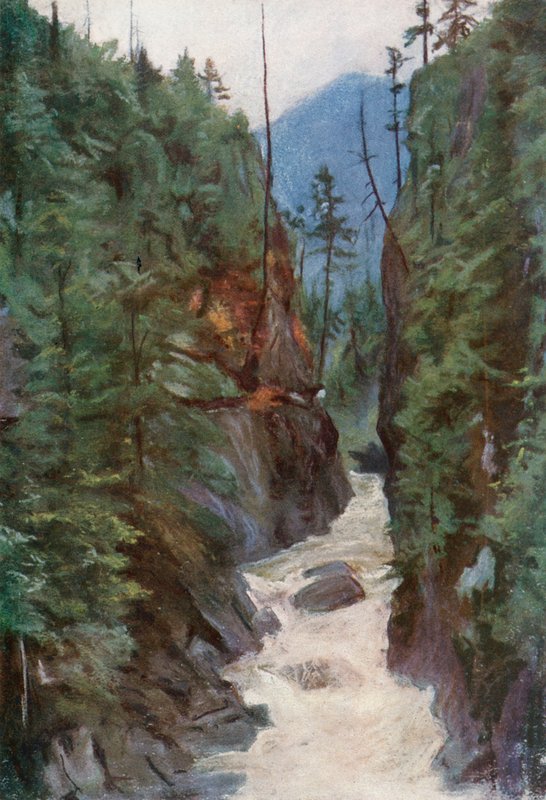 Capilano Canyon, latalata i North Vancouverswed av Harold Copping