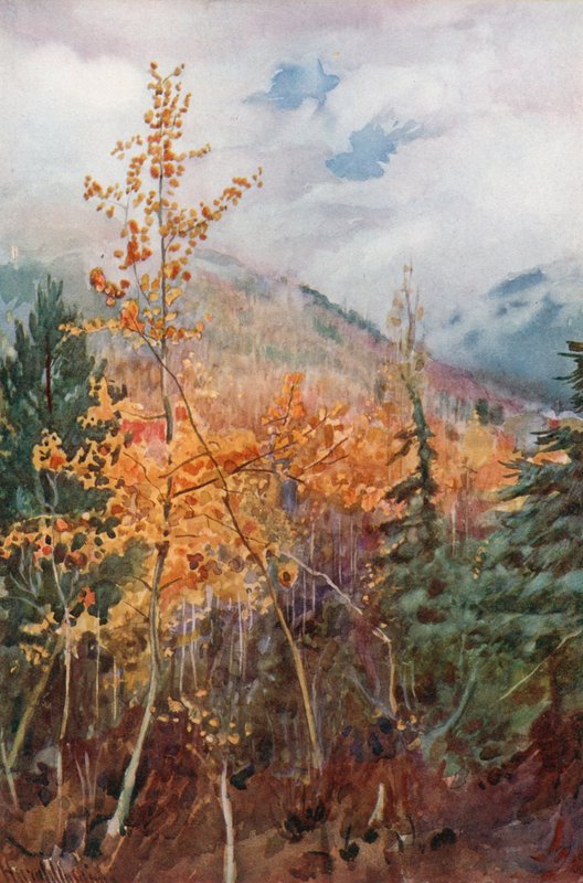 På en bergssida nära Nelson, British Columbia av Harold Copping