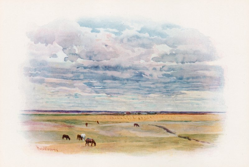 Prärien i Elstow, Saskatchewan av Harold Copping