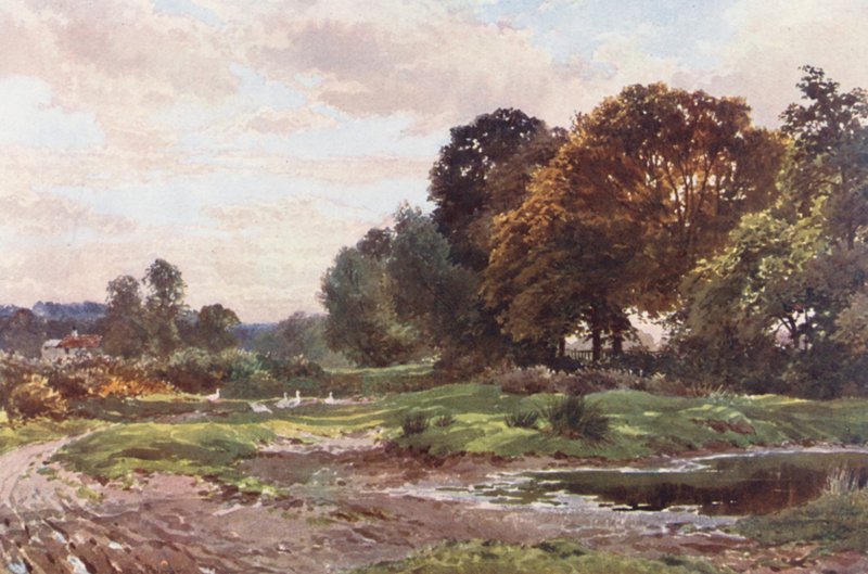 Ett hörn av Esher Common (färglitografi) av Harold Sutton Palmer