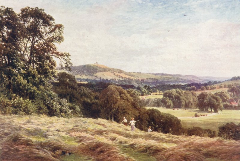 A Hayfield, Wonersh (färglitografi) av Harold Sutton Palmer