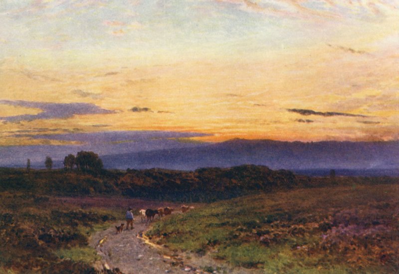 En sommarkväll, Milford Common (färglitografi) av Harold Sutton Palmer