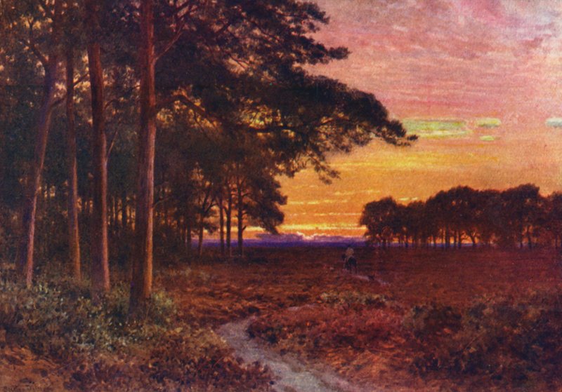 Kväll på mossarna, Hindhead (färglitografi) av Harold Sutton Palmer