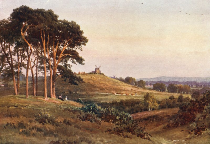 Reigate Heath, kväll (färglitografi) av Harold Sutton Palmer
