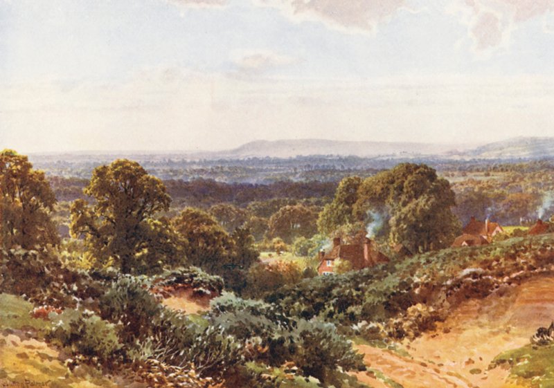 Sandhills, med utsikt mot Blackdown (färglitografi) av Harold Sutton Palmer