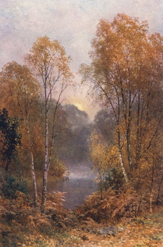 The Autumn Moon (färglitografi) av Harold Sutton Palmer