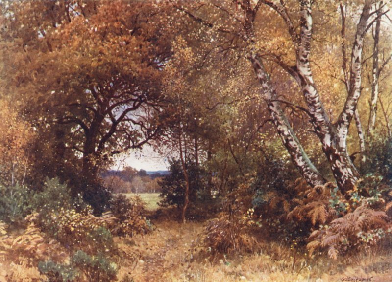 The Edge of a Wood, Royal Common (färglitografi) av Harold Sutton Palmer