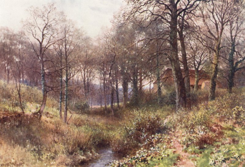 The Farm midst the Woods, nära Haslemere (färglitografi) av Harold Sutton Palmer