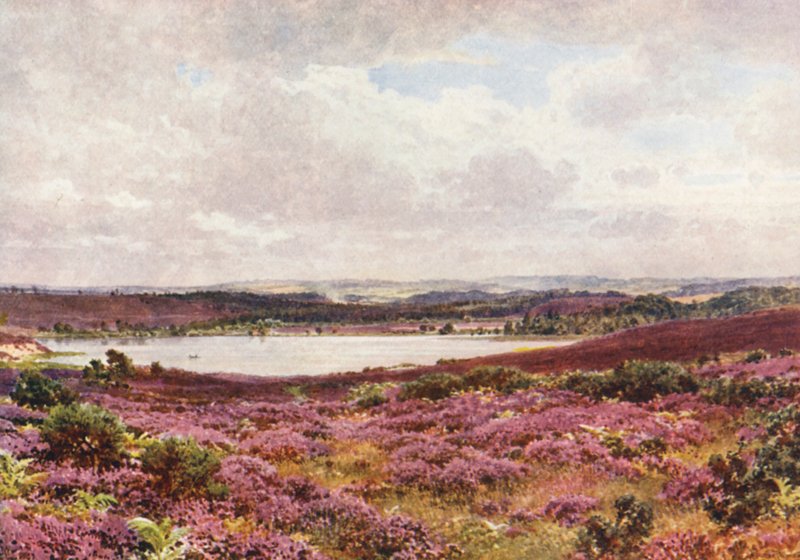 The Great Pond, Frensham (färglitografi) av Harold Sutton Palmer