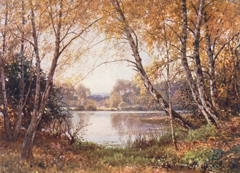 The Verge of the Pond, Royal Common (färglitografi) av Harold Sutton Palmer
