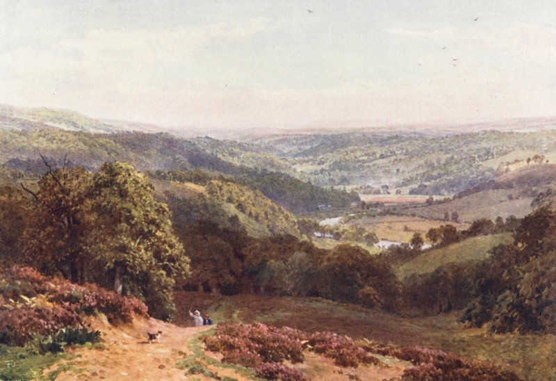 Albury-dalen, från St Martha