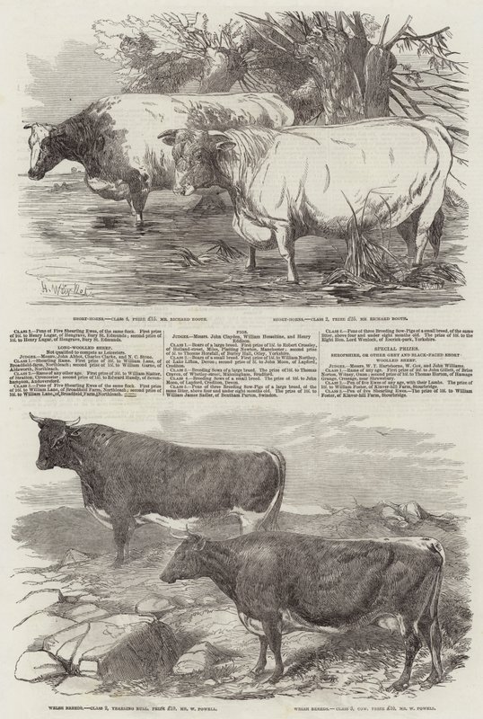 Utställning av Royal Agricultural Society of England av Harrison William Weir
