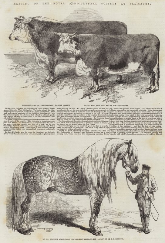 Möte för Royal Agricultural Society i Salisbury av Harrison William Weir